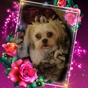 Meet your Posher, Vickie